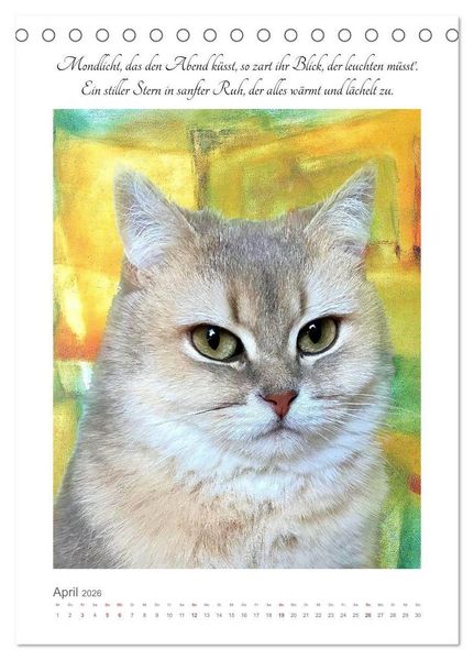 Produktbild: Katzenlyrik - Zw&ouml;lf Seelen auf Samtpfoten in Wort und Bild (Tischkalender 2026 DIN A5 hoch), CALVENDO Monatskalender