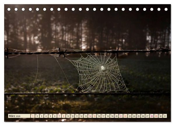 Produktbild: Spinnennetze - Wunder der Natur (Tischkalender 2026 DIN A5 quer), CALVENDO Monatskalender