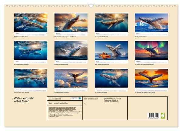Produktbild: Wale - ein Jahr voller Meer (Wandkalender 2026 DIN A2 quer), CALVENDO Monatskalender