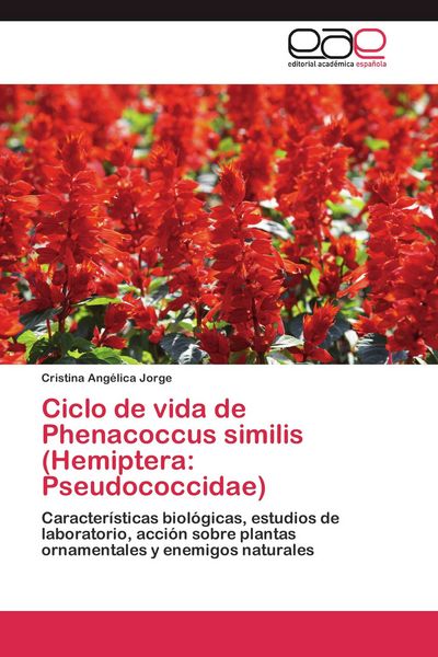 Produktbild: Ciclo de vida de Phenacoccus similis (Hemiptera: Pseudococcidae)
