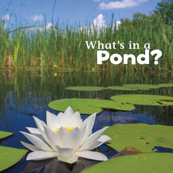 Produktbild: Whats in a Pond