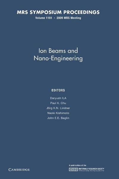Produktbild: Ion Beams and Nano-Engineering