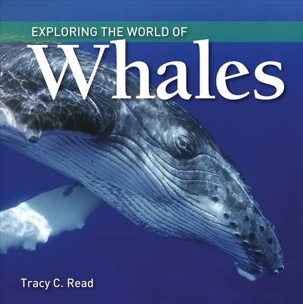 Produktbild: Exploring the World of Whales