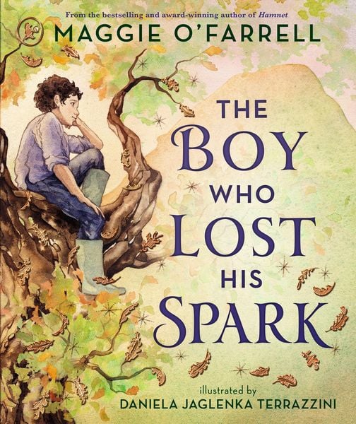 Produktbild: The Boy Who Lost His Spark
