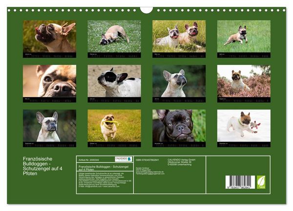 Produktbild: Franz&ouml;sische Bulldoggen - Schutzengel auf 4 Pfoten (Wandkalender 2026 DIN A3 quer), CALVENDO Monatskalender