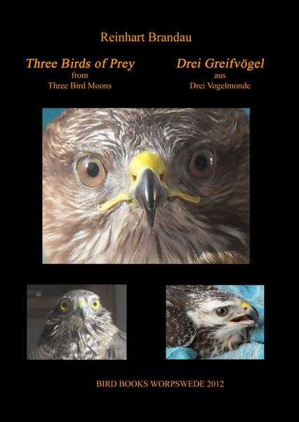 Produktbild: Three Birds of Prey - Drei Greifv&ouml;gel