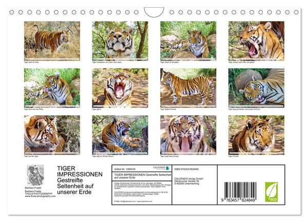 Produktbild: TIGER IMPRESSIONEN Gestreifte Seltenheit auf unserer Erde (Wandkalender 2026 DIN A4 quer), CALVENDO Monatskalender