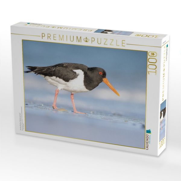 Produktbild: CALVENDO Puzzle Austernfischer (Oystercatcher) | 1000 Teile Lege-Gr&ouml;&szlig;e 64x48cm Foto-Puzzle f&uuml;r gl&uuml;ckliche Stunden