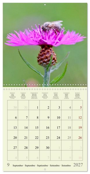 Produktbild: Petites fleurs color&eacute;es (Calendrier mural carr&eacute; 2027 30x30 cm) Calendrier double avec une page pour vos prises de notes