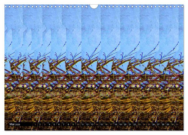 Produktbild: Magische Bilder - 3D Stereogramme (Wandkalender 2026 DIN A3 quer), CALVENDO Monatskalender