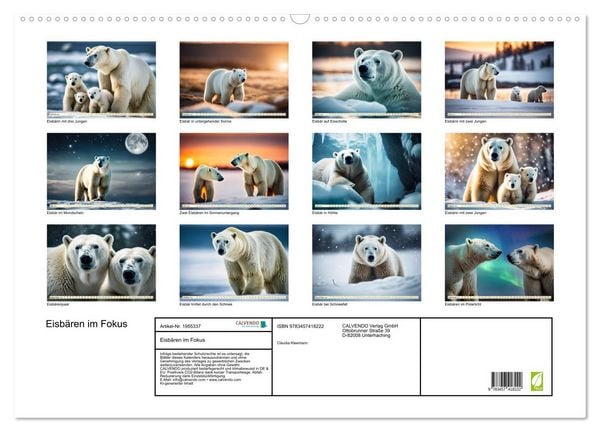 Produktbild: Eisb&auml;ren im Fokus (Wandkalender 2026 DIN A2 quer), CALVENDO Monatskalender