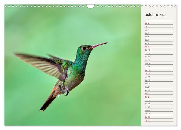 Produktbild: Colibris &ndash; &eacute;clats de nature (Calendrier mural 2027 DIN A3 vertical), CALVENDO calendrier mensuel