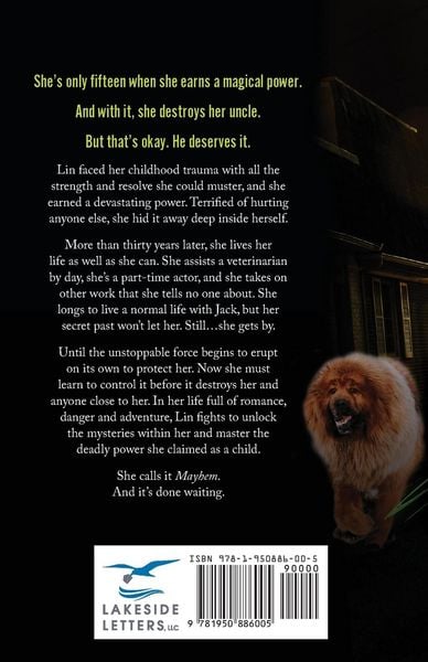 Produktbild: Lin Finity And Her Mayhem Rising