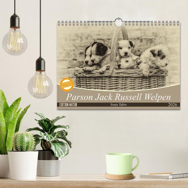 Produktbild: Parson Jack Russel Welpen (Wandkalender 2026 DIN A4 quer), CALVENDO Monatskalender