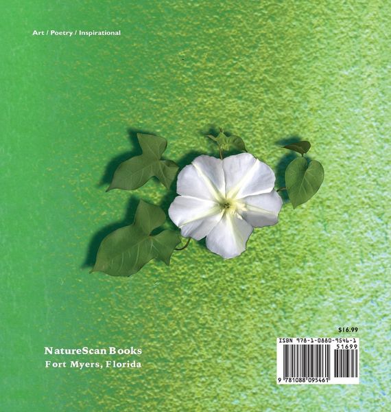 Produktbild: More Soul Food
