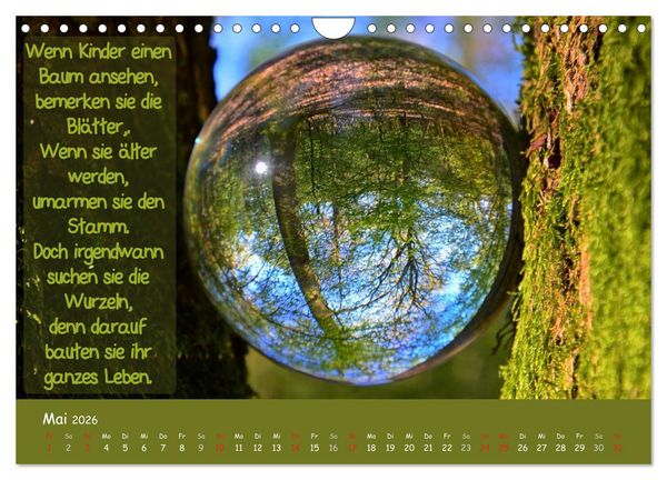 Produktbild: Wunderbare Waldkugeln (Wandkalender 2026 DIN A4 quer), CALVENDO Monatskalender