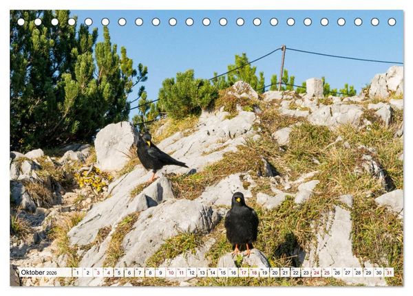 Produktbild: Der Rauschberg (Tischkalender 2026 DIN A5 quer), CALVENDO Monatskalender