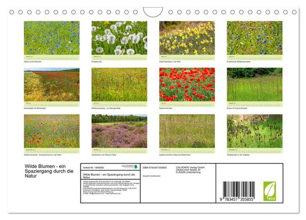 Produktbild: Wilde Blumen - ein Spaziergang durch die Natur (Wandkalender 2026 DIN A4 quer), CALVENDO Monatskalender