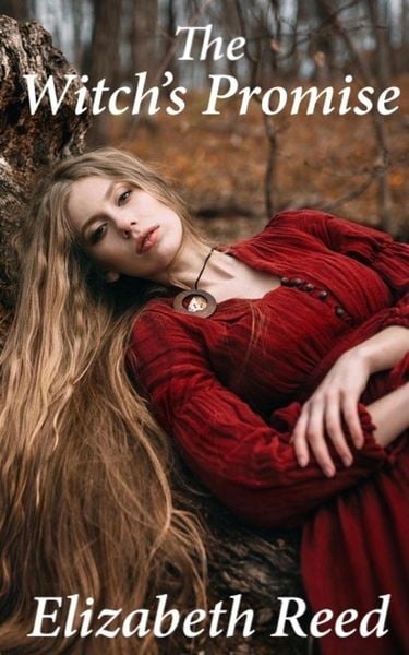 Produktbild: The Witch's Promise