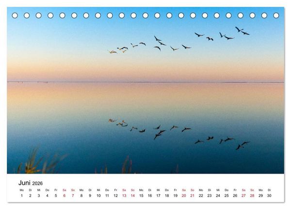 Produktbild: Zug der Kraniche (Tischkalender 2026 DIN A5 quer), CALVENDO Monatskalender
