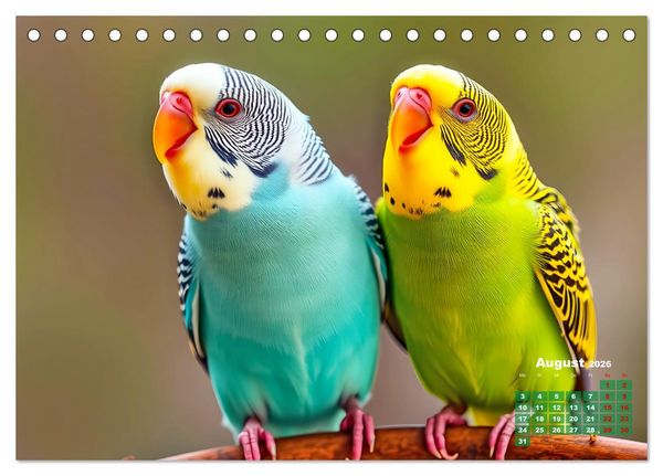 Produktbild: Leuchtend farbenfrohe V&ouml;gel (Tischkalender 2026 DIN A5 quer), CALVENDO Monatskalender