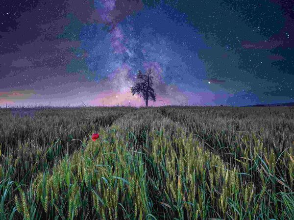 Produktbild: Erwachsenenpuzzle Power of Nature 1500 Teile - Nachthimmel &uuml;ber dem Kornfeld