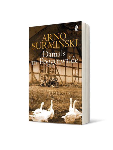 Produktbild: Damals in Poggenwalde