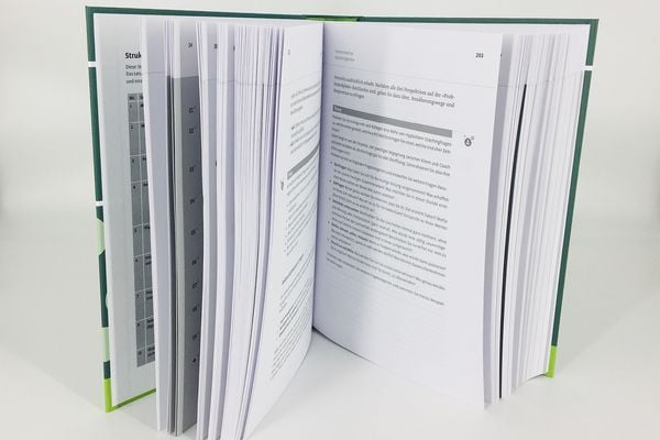 Produktbild: Handbuch Coaching und Beratung
