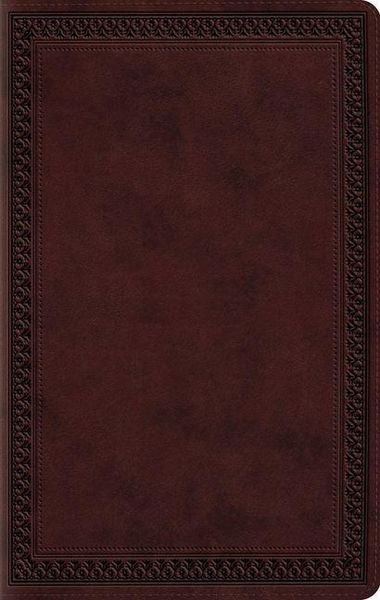 Produktbild: Large Print Value Thinline Bible-ESV-Border Design