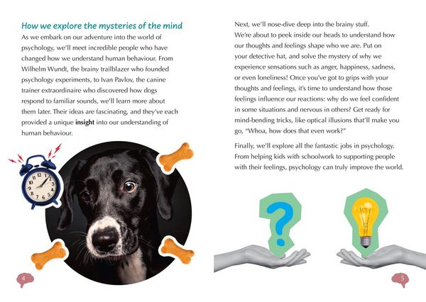 Produktbild: A Guide to: Psychology