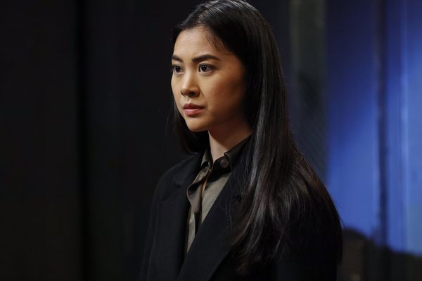 The Blacklist - Die komplette neunte Season [5 DVDs]