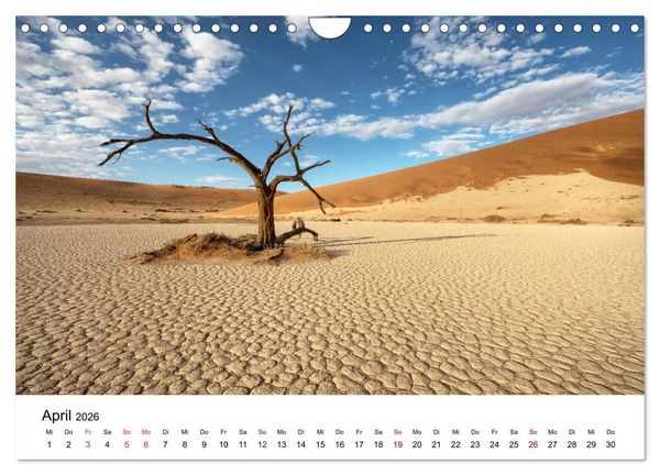 Produktbild: B&auml;ume in Namibias Landschaften (Wandkalender 2026 DIN A4 quer), CALVENDO Monatskalender