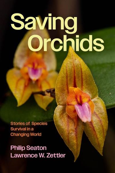 Produktbild: Saving Orchids