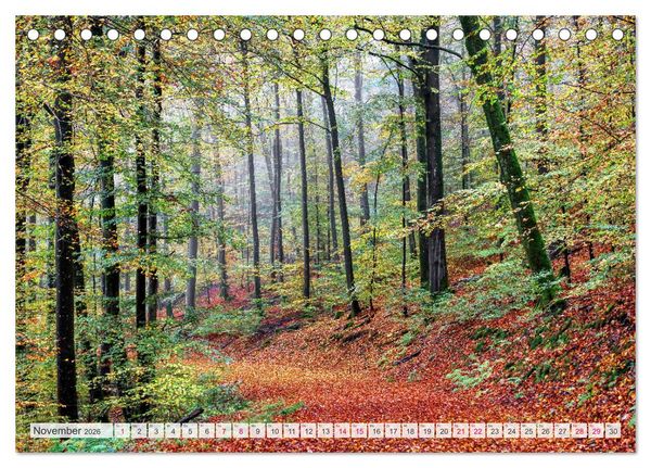 Produktbild: Idyllische Wanderwege im Bergischen Land (Tischkalender 2026 DIN A5 quer), CALVENDO Monatskalender