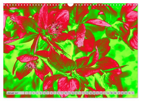 Produktbild: Blumen Pop-Art (Wandkalender 2027 DIN A3 quer), CALVENDO Monatskalender