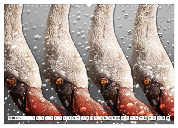 Produktbild: Emotionale Momente: African Dreams (hochwertiger Premium Wandkalender 2026 DIN A2 quer), Kunstdruck in Hochglanz