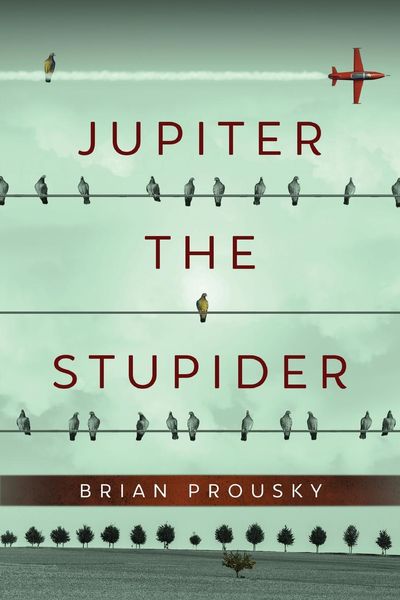 Produktbild: Jupiter the Stupider