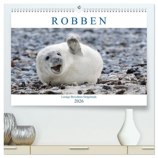 Produktbild: Robben - Lustige Bewohner Helgolands (hochwertiger Premium Wandkalender 2026 DIN A2 quer), Kunstdruck in Hochglanz
