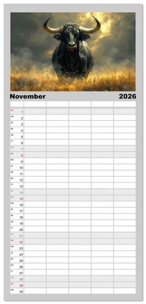 Produktbild: Familienplaner 2026 - Wilde Rinder mit 5 Spalten (Wandkalender, 21 x 45 cm) CALVENDO