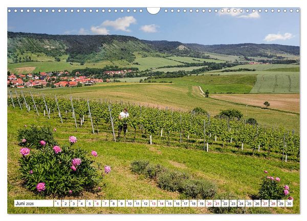 Produktbild: Weinberge um Jena (Wandkalender 2026 DIN A3 quer), CALVENDO Monatskalender