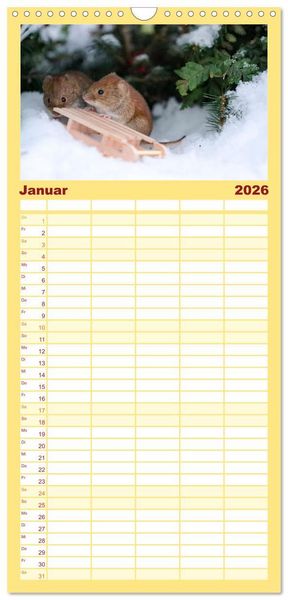Produktbild: Familienplaner 2026 - Die R&ouml;telmaus - neugierig und verfressen mit 5 Spalten (Wandkalender, 21 x 45 cm) CALVENDO