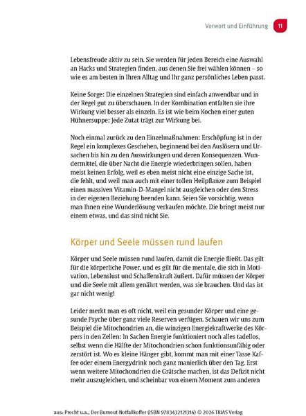 Produktbild: Der Burnout-Notfallkoffer