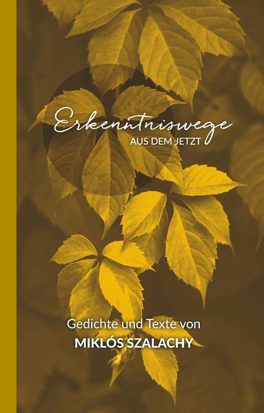 Produktbild: Erkenntniswege aus dem Jetzt
