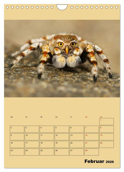 Produktbild: Seltsame Tiere - da stimmt doch was nicht... (Wandkalender 2026 DIN A4 hoch), CALVENDO Monatskalender