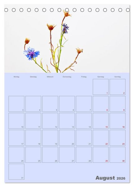 Produktbild: Blumenmetamorphosen (Tischkalender 2026 DIN A5 hoch), CALVENDO Monatskalender
