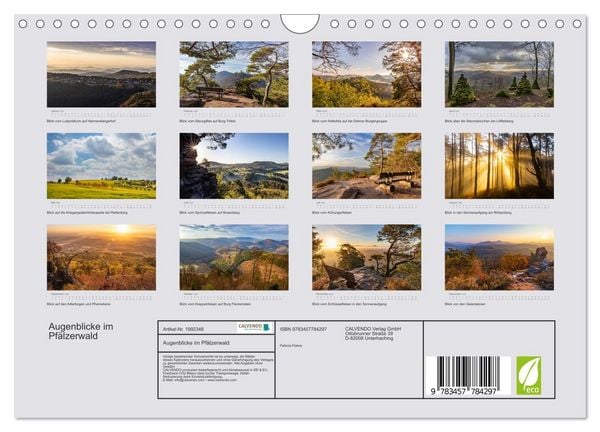 Produktbild: Augenblicke im Pf&auml;lzerwald (Wandkalender 2026 DIN A4 quer), CALVENDO Monatskalender