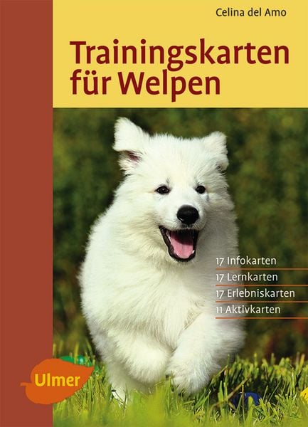 Produktbild: Trainingskarten f&uuml;r Welpen