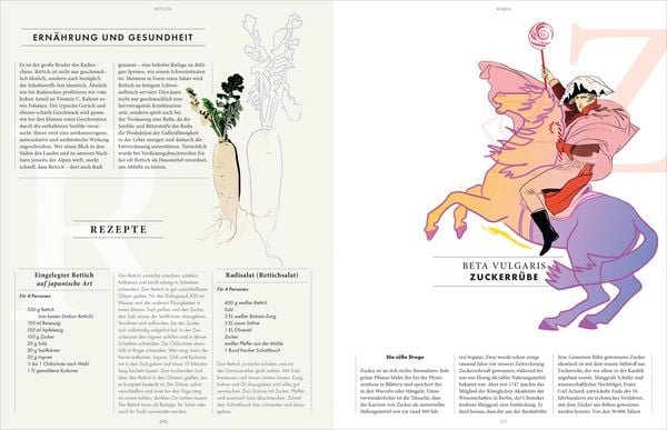 Produktbild: Das Wesentliche