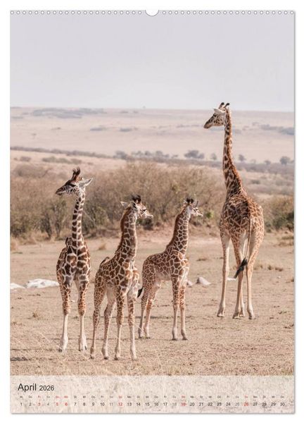 Produktbild: Emotionale Momente: Giraffen, die h&ouml;chsten Tiere der Welt. (hochwertiger Premium Wandkalender 2026 DIN A2 hoch), Kunstdruck in Hochglanz