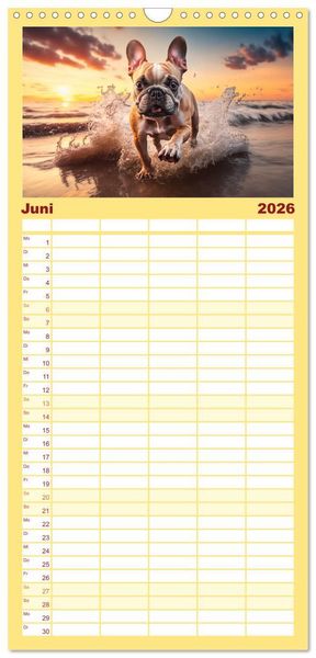 Produktbild: Familienplaner 2026 - Franz&ouml;sische Bulldoggen mit 5 Spalten (Wandkalender, 21 x 45 cm) CALVENDO